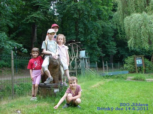 Zde si můžete prohlédnou několik fotografií naloučanských dětí a jejich rodičů z výletu do ZOO Jihlava pořádanému Obecním úřadem Naloučany k Mezinárodnímu dni dětí  