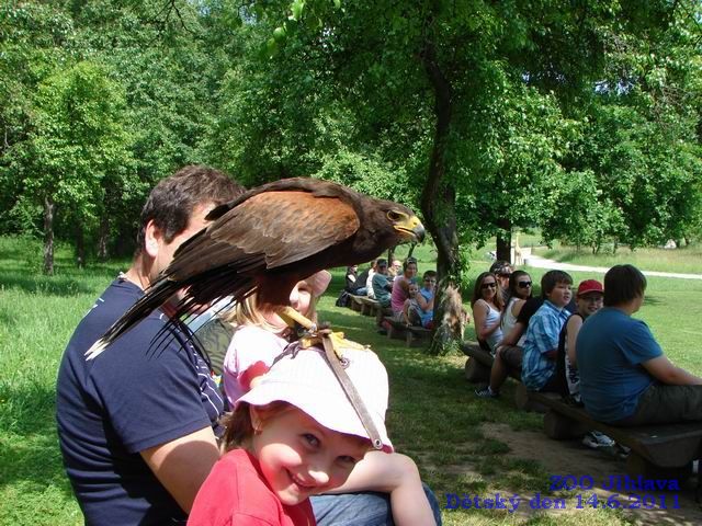 Zde si můžete prohlédnou několik fotografií naloučanských dětí a jejich rodičů z výletu do ZOO Jihlava pořádanému Obecním úřadem Naloučany k Mezinárodnímu dni dětí