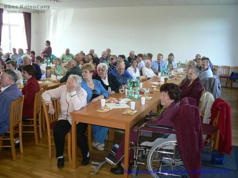 Společenské odpoledne seniorů 2013