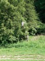 Zde si můžete prohlédnou několik fotografií naloučanských dětí a jejich rodičů z výletu do ZOO Jihlava pořádanému Obecním úřadem Naloučany k Mezinárodnímu dni dětí  