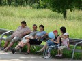 Zde si můžete prohlédnou několik fotografií naloučanských dětí a jejich rodičů z výletu do ZOO Jihlava pořádanému Obecním úřadem Naloučany k Mezinárodnímu dni dětí